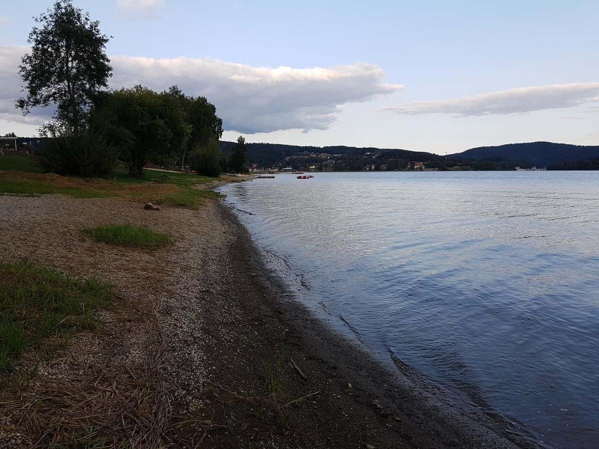 Sunny House Villa Lipno nad Vltavou Luaran gambar