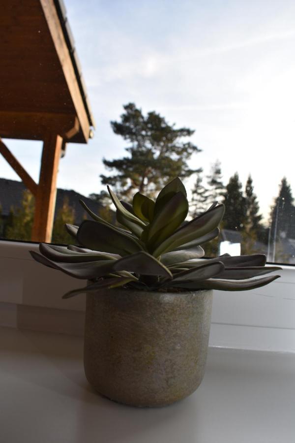 Sunny House Villa Lipno nad Vltavou Luaran gambar